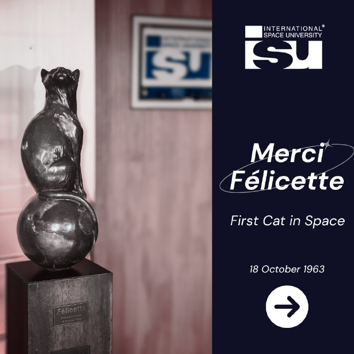 起源与共生 1.4 太空猫 Félicette：被遗忘的女英雄