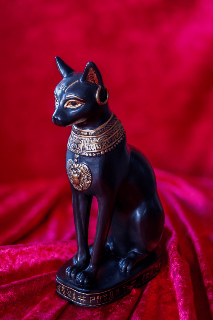 猫的密语 3.1 猫的进化史：10000 年的半驯化
