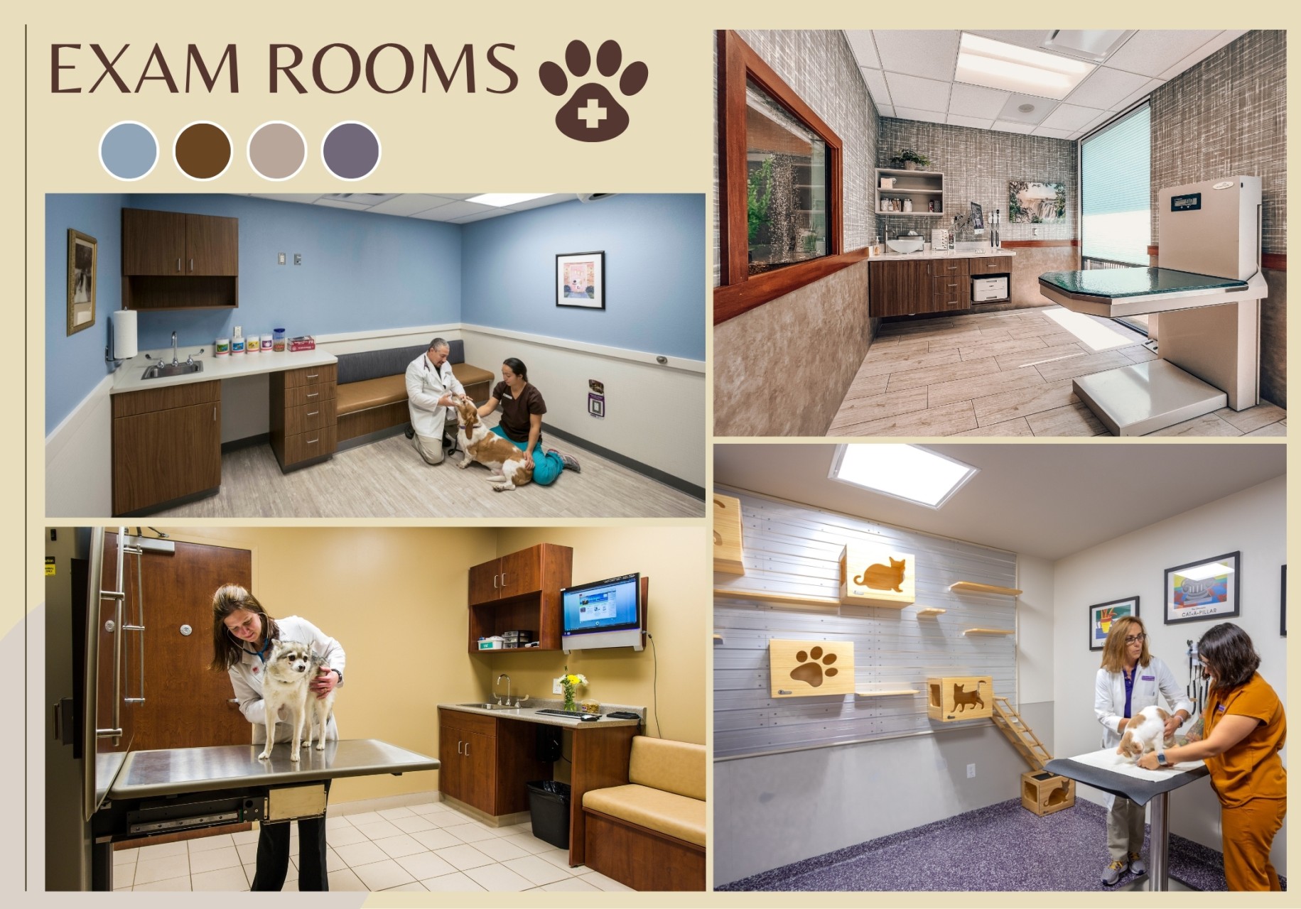 健康与医学 5.3 文明养犬 13 条：来自狗狗的真心话