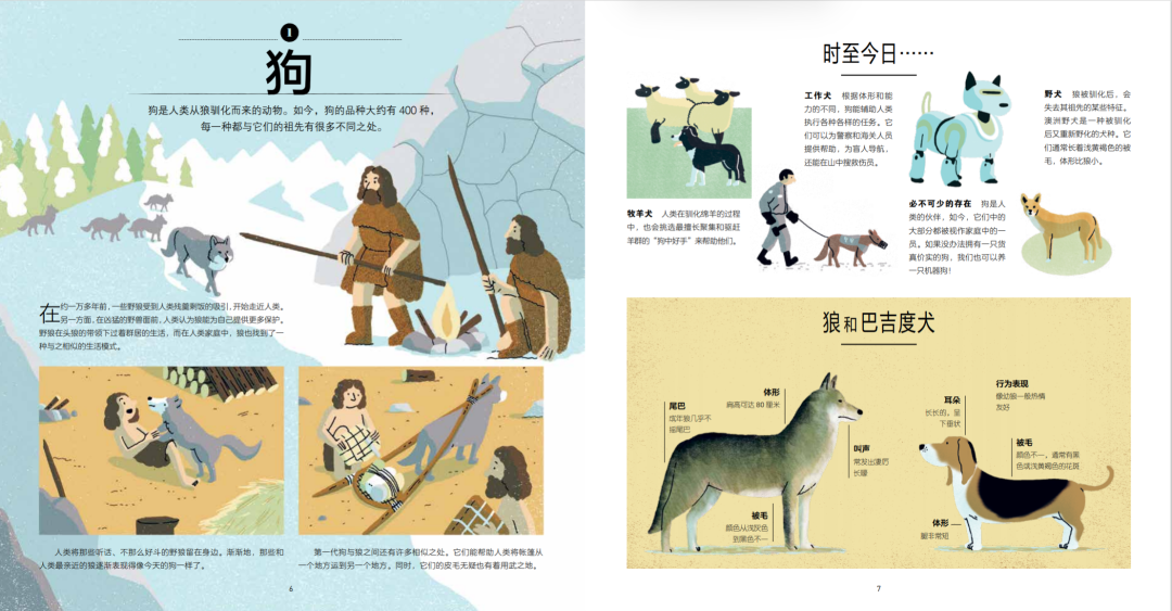 起源与共生 封面