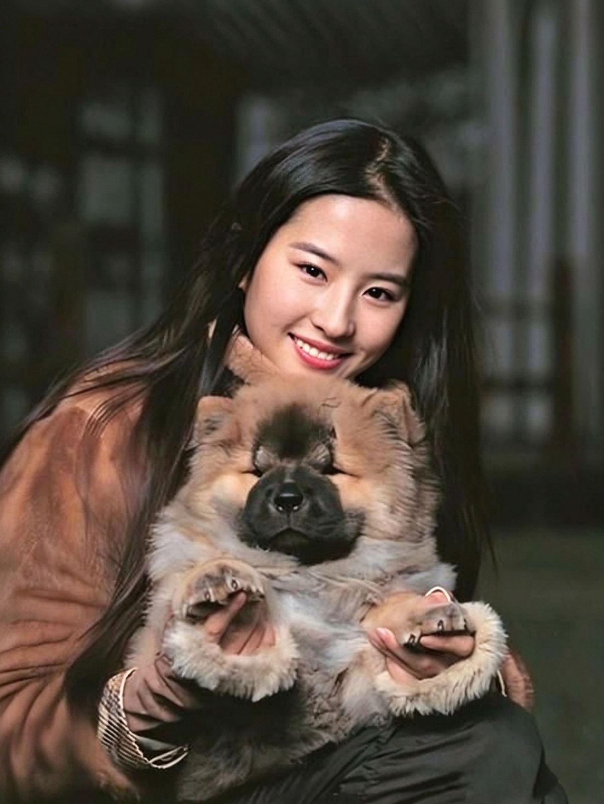 明星领养与救助 刘亦菲：神仙姐姐和她的猫