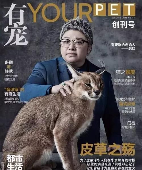 明星领养与救助 韩红：公益人的领养观