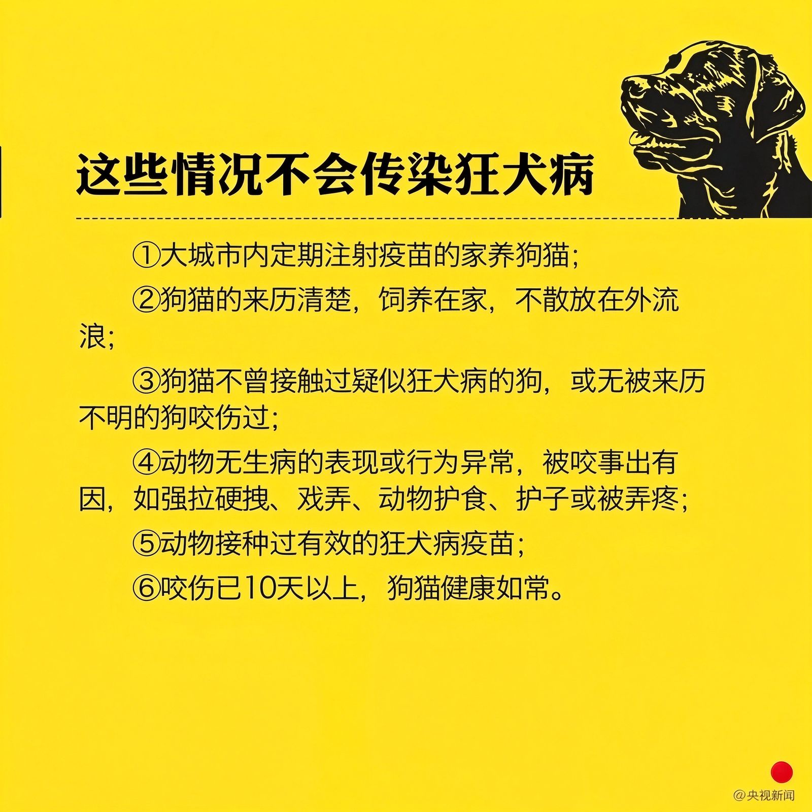 狂犬病科学专题 别怕：这些情况不会传染