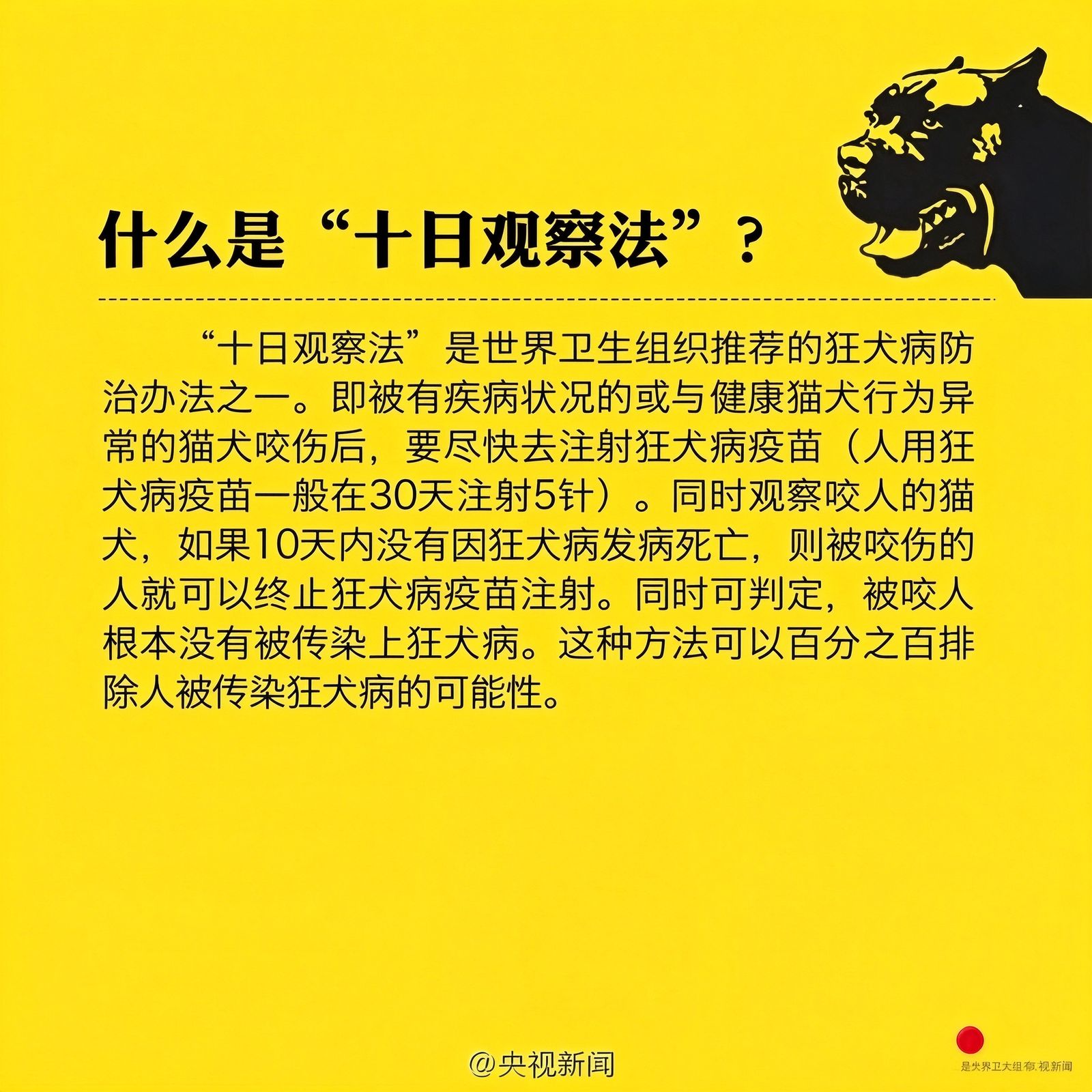 狂犬病科学专题 十日观察法：WHO 教你的安心法