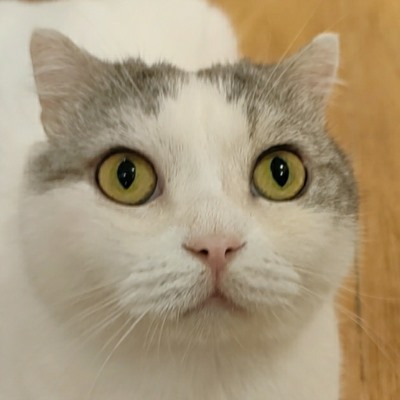 太子